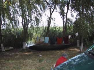 IMG_0652.JPG